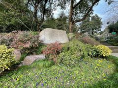 -杭州半山国家森林公园