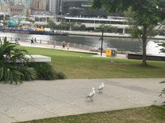 -布里斯班南岸公园