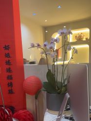 -雪儿·YuKi美甲美睫皮肤管理Salon