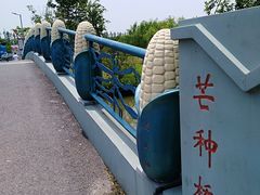 -上海长兴岛郊野公园