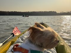 -上海海湾国家森林公园