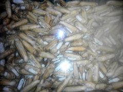 -山东八大碗山东老字号