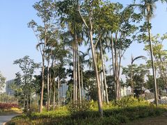 -宝安西湾红树林湿地公园