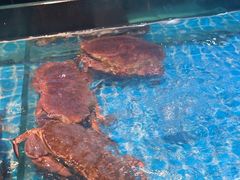 -梦都海鲜酒家(万达广场江桥店)