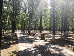 -顺鑫绿色度假村