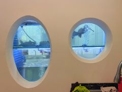 -三煮纸包鱼(青岛总店)