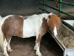 -瑞博尔花园酒店(太周创新产业园店)