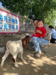 -上美四季动物农场