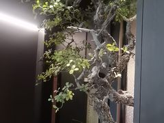 -苏淮景·苏闽融创菜·海鲜(原空港井河轩店)