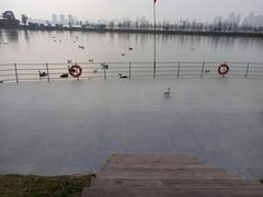 -艾溪湖湿地公园