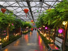 -南宫五洲植物乐园