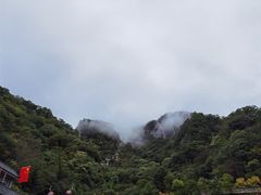 -牛背梁国家森林公园