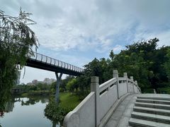 -王借岗森林公园