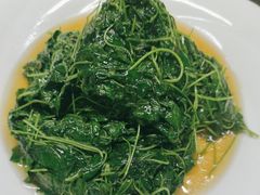 -协和菜馆(凤凰街店)