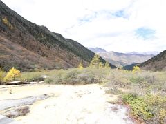 -黄龙山原始森林景区