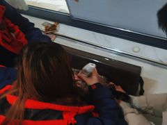 -伟伟宠物医院·CT影像中心·瑞派犬猫综合性门诊(汉口总院)