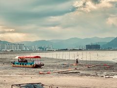 -北岐滩涂