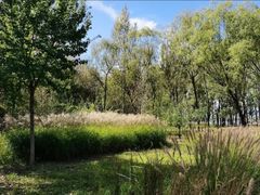 -野鸭湖国家湿地公园