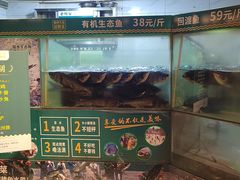 -老傅家湘潭水煮活鱼店(众一国际店)