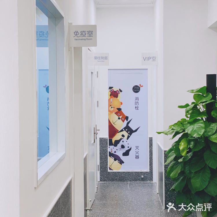 领华宠医·星华宠物医院|医生和环境都非常靠谱的连锁宠物🏥