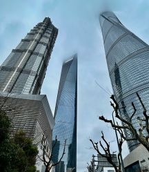 -上海金茂君悦大酒店·宴会厅