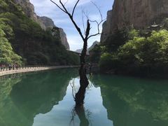 -南山不老谷景区