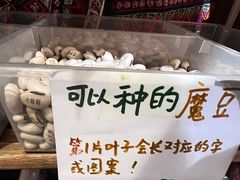 -南山杂货铺(昙华林路店)