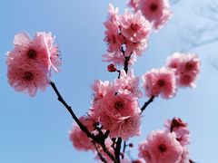 -白塘生态植物园