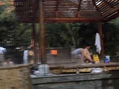 -春晖园度假酒店温泉