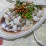 鱼生界的绝绝子