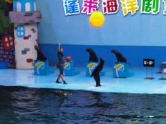 -蓬莱欧乐堡海洋极地世界