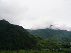 -天目山大树王景区