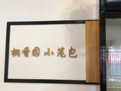 -桐香园小笼包(百井坊巷店)