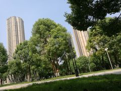 -重庆市江北嘴中央商务区中央公园