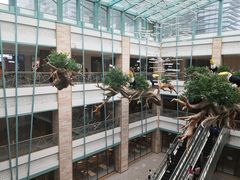 -大族广场Mall&More