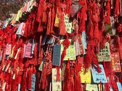 -香山公园