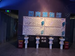 -贝壳梦幻世界