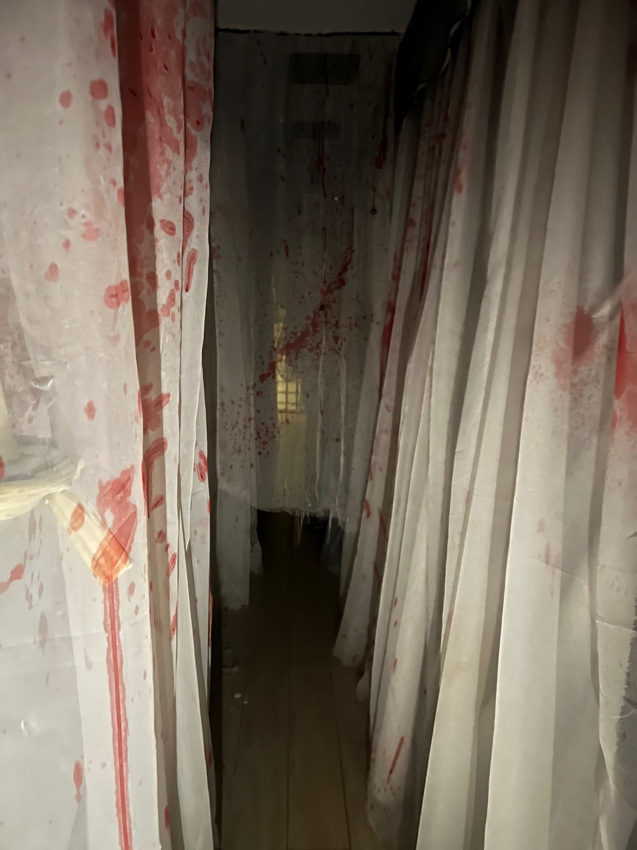 俏咪咪的去找名画😈