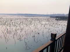 -天津东丽湖风景区