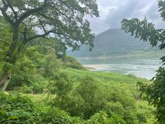-缙云山景区