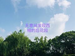 -乌镇枕水度假酒店