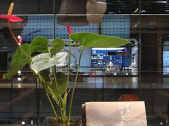 -百新书局(尚悦湾店)