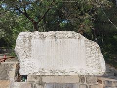 -北京十三陵国家森林公园蟒山景区