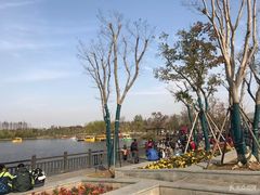 -上海长兴岛郊野公园