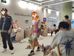 -怪兽屋·羊驼·猫咖·狗咖(俊华广场店)