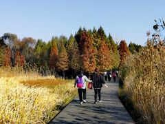 -溱湖国家湿地公园