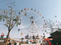 -金卉庄园