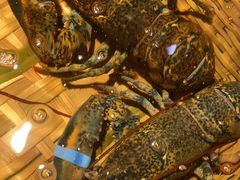 -拉完海鲜大排档(温岭店)