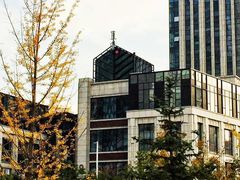 -瓦库茶馆17号(海汇港店)