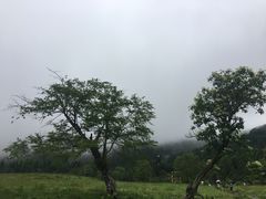 -硗碛藏寨·神木垒景区